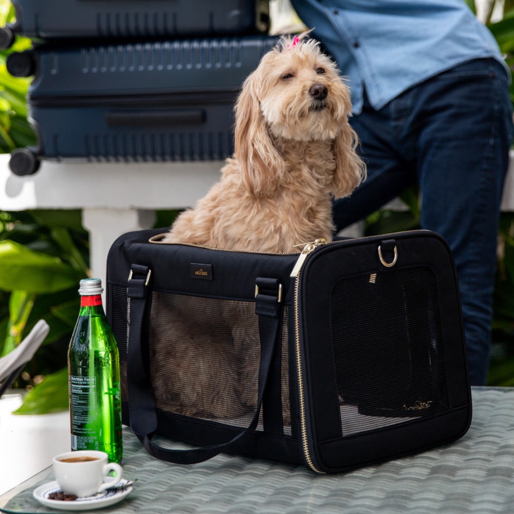 Pet Carriers Manufacturer