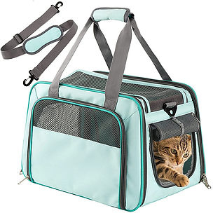 Pet Carrier for Cats DBGQS22097 (1)