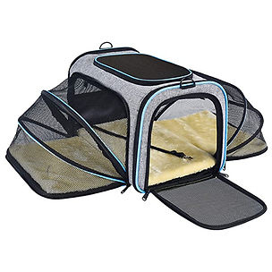 Airline Approved Large Pet Travel Carrier DBGYBN22017