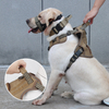 Tenacious Dog Collar XSCO-0008