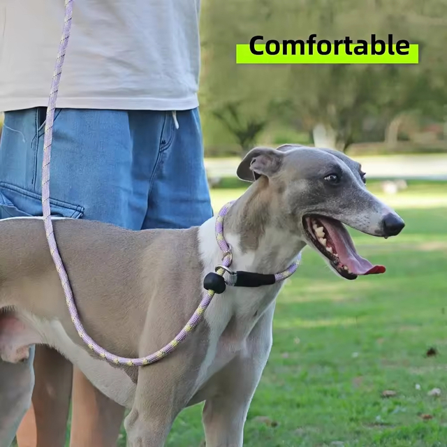 Colorful Pet Leash XSPL-0017