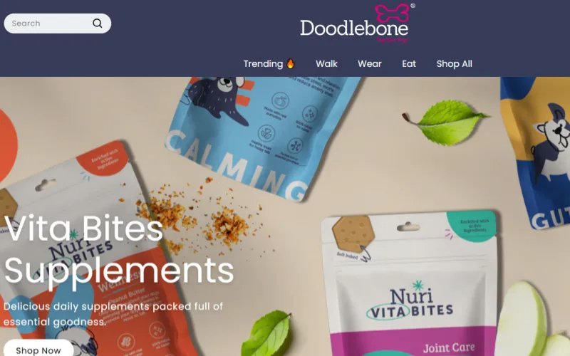 Doodlebone-website