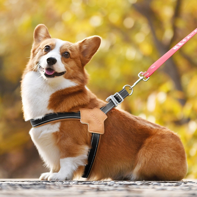 Simple Pet Harness XSPH-0059