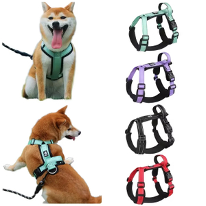 Harnais de compagnie coloré XSPH-0061