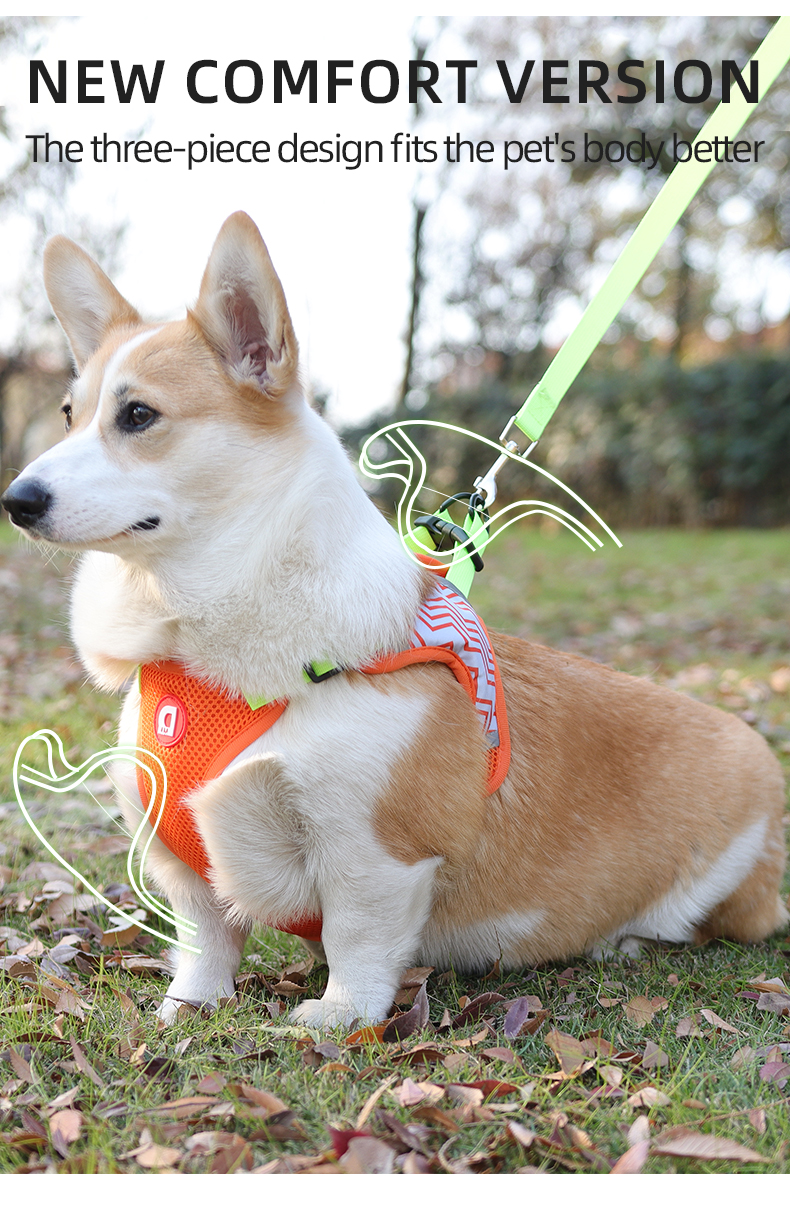 Lightweight pet Harness XSPH-0051