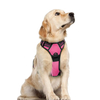 Innovative Pet Harness XSPH-0036