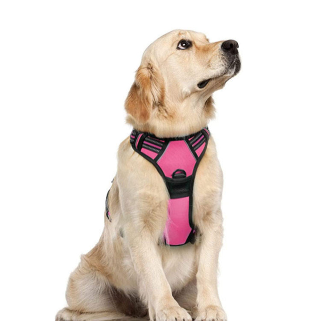 Innovative Pet Harness XSPH-0036