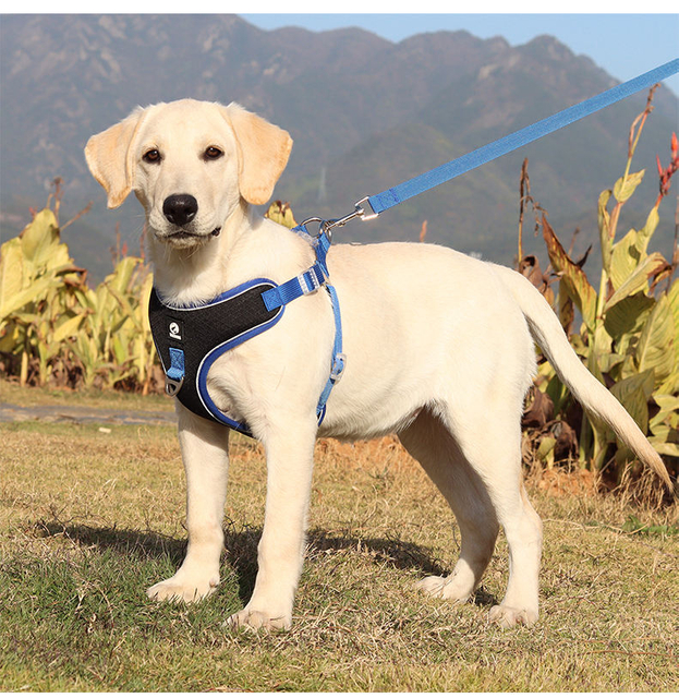 Compact Pet Harness XSPH-0040