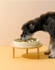 Ceramic Slow Food Pet Bowl XSFB-0065