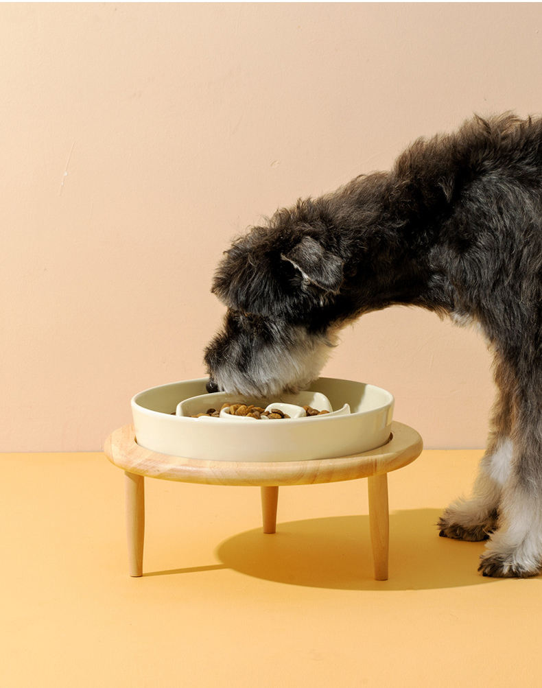 Ceramic Slow Food Pet Bowl XSFB-0065