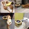 Wood Frame Circle Pet Bowl XSFB-0100