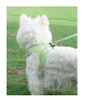 Delicate Pet Harness XSPH-0035
