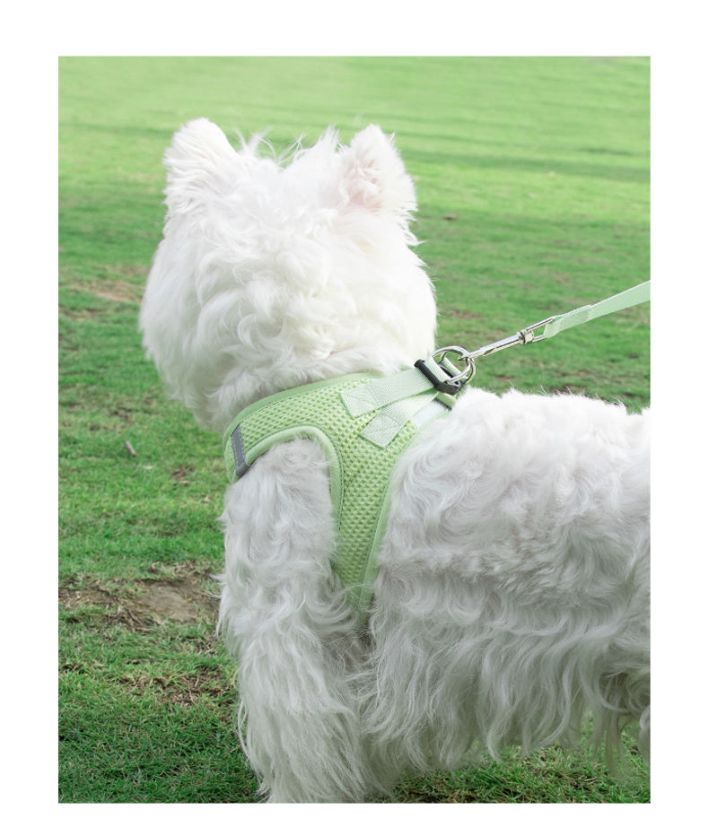 Delicate Pet Harness XSPH-0035