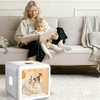 Household Pet Drying Box XSDB-0002