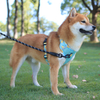 Colorful Pet Harness XSPH-0013