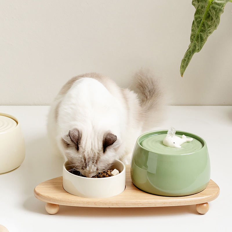 Cute Ceramic Pet Water Dispenser XSWD-0014