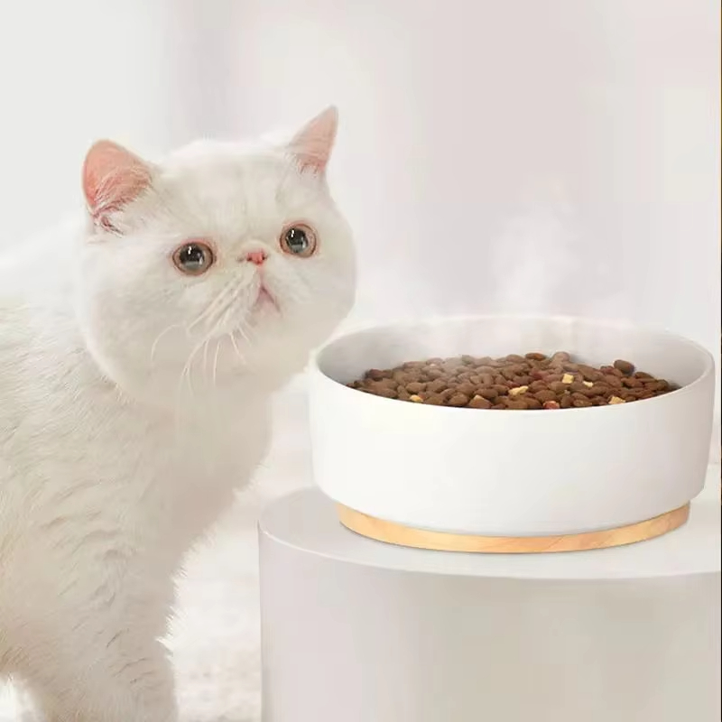 Silent Ceramic Water Dispenser XSHP-0013