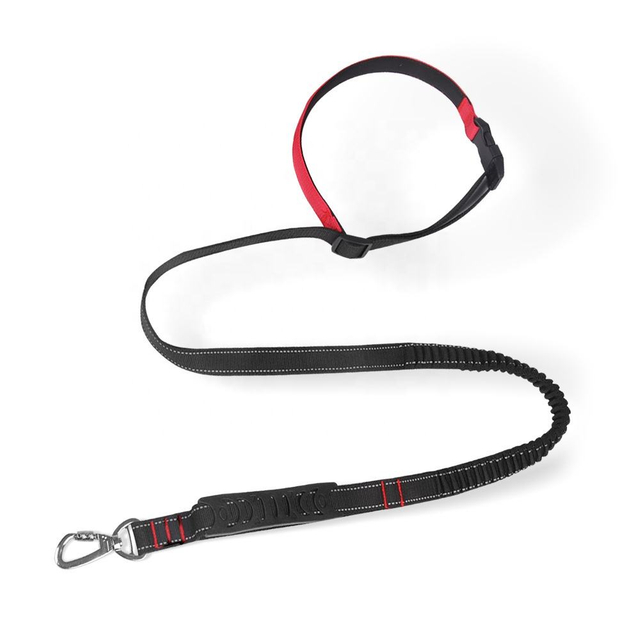 Multi-purpose Pet Leashes XSPL-0013