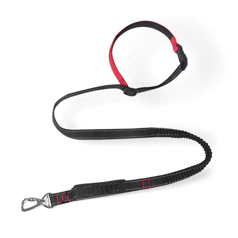 Multi-purpose Pet Leashes XSPL-0013