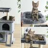 Rudimentary Cat Trees XSTS-0011