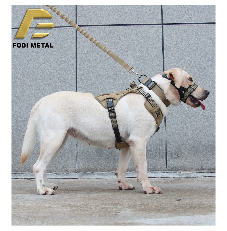 Tenacious Dog Collar XSCO-0008