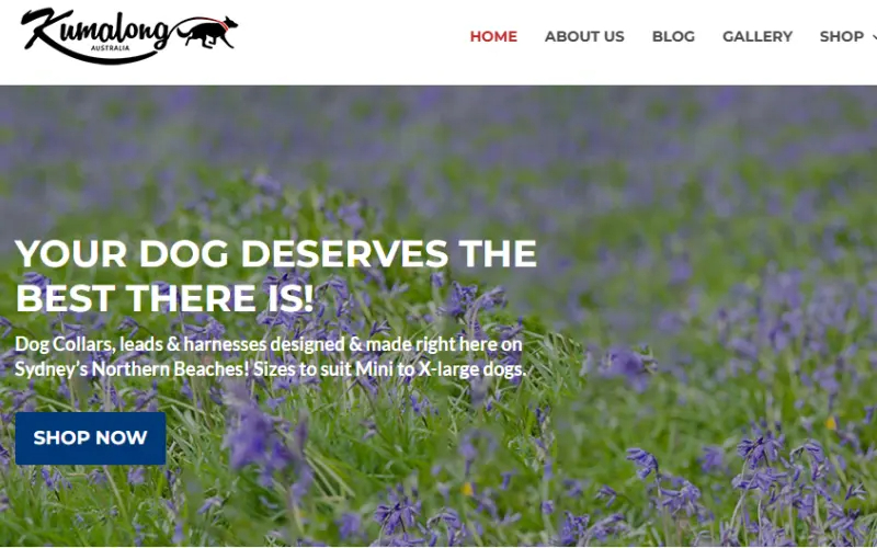 Kumalong-Website