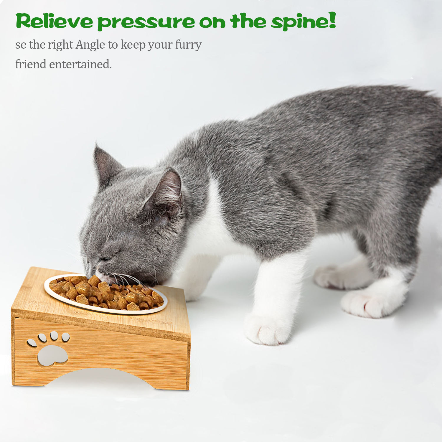 Eco-friendly Pet Bowl XSFB-0013