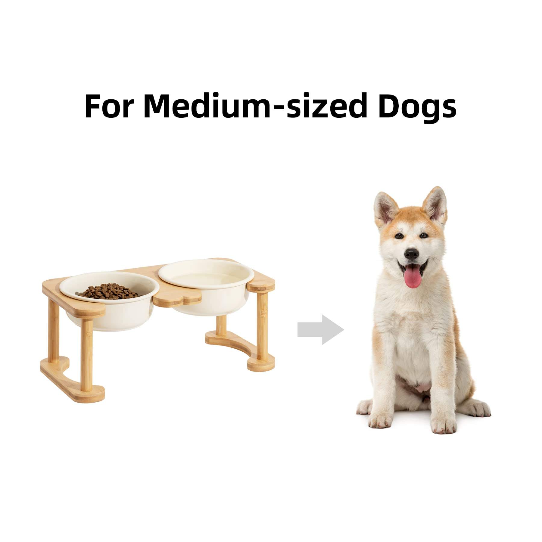 High Base Pet Bowl XSFB-0055