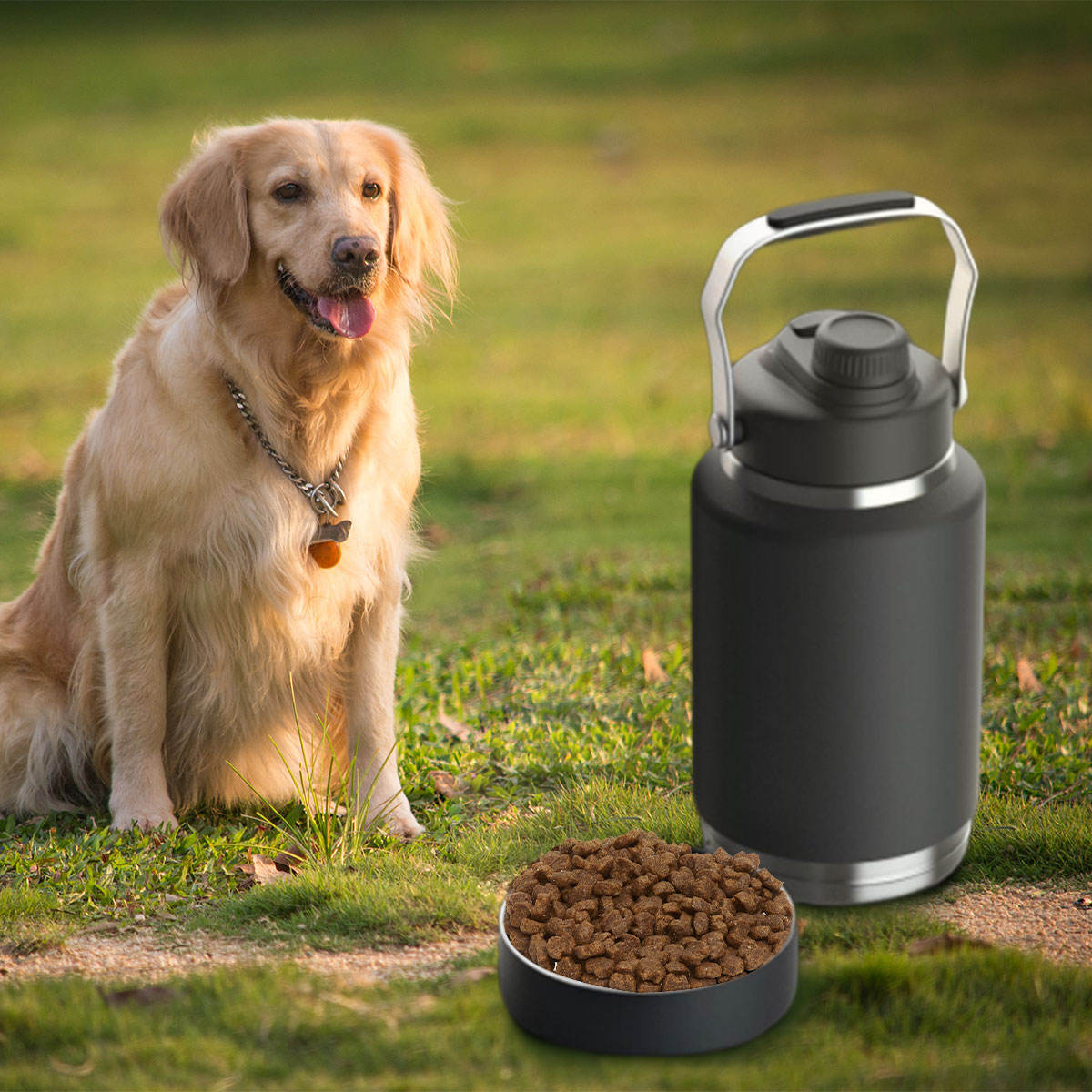 Portable Pet Feeding Bowl XSFB-0105