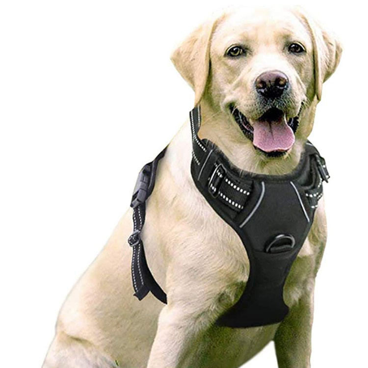 Innovative Pet Harness XSPH-0036