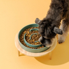 Ceramic Slow Food Pet Bowl XSFB-0065