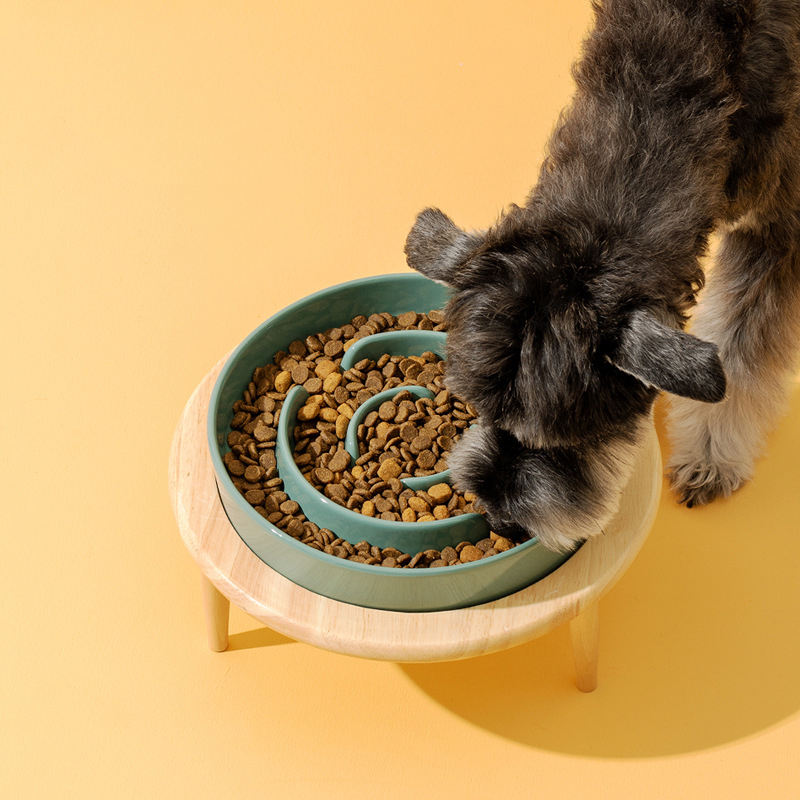 Ceramic Slow Food Pet Bowl XSFB-0065