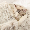 Soft And Warm Pet Beds XSPB-0003