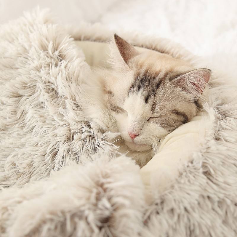 Soft And Warm Pet Beds XSPB-0003