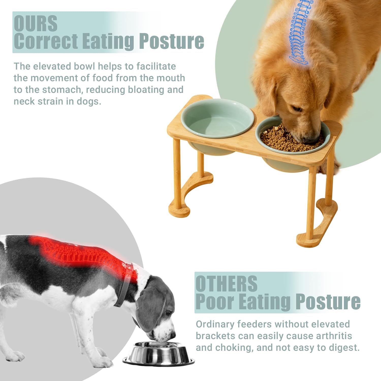 High Based Pet Bowl XSFB-0070