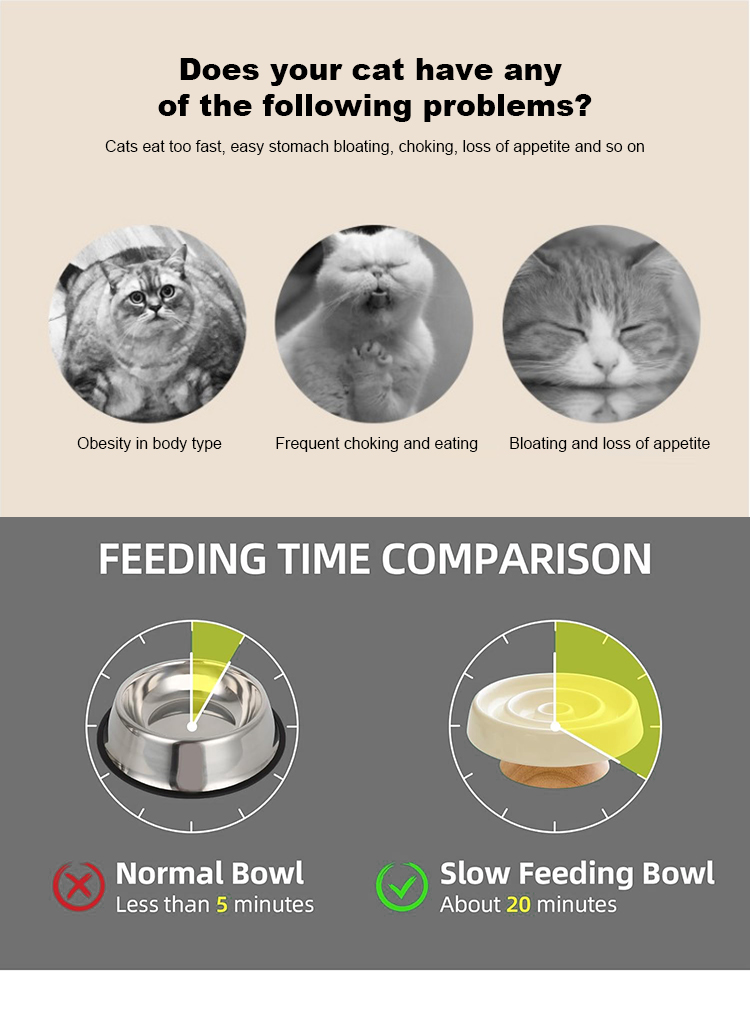 Exquisite Pet Slow Food Bowl XSFB-0098