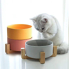 Colorful Pet Bowl XSFB-0038