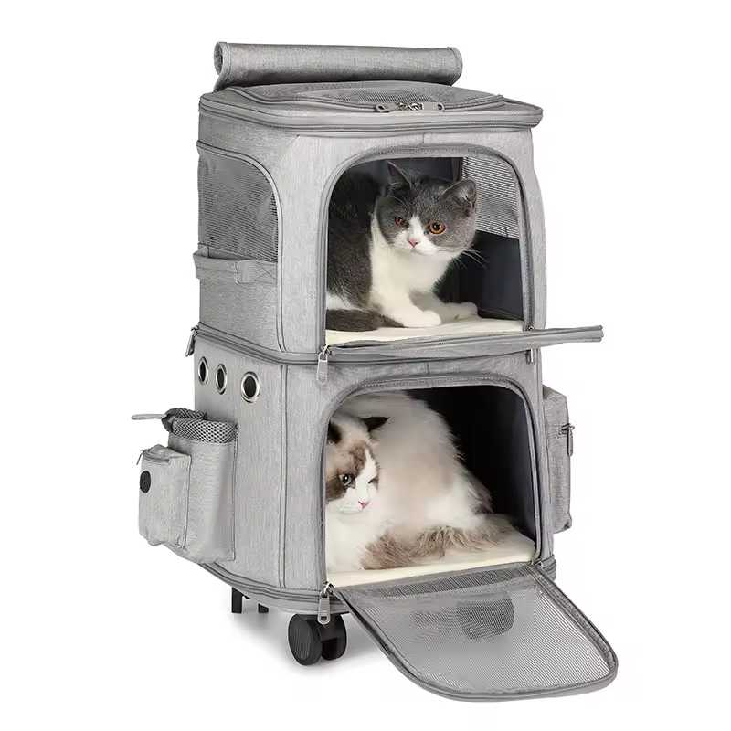 travel with pet