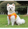 Double Coat Pet Harness XSPH-0026