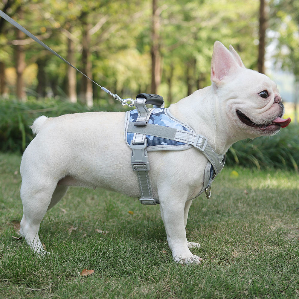 Convenient Pet Harness XSPH-0012