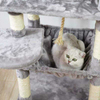 Integrated Cat Trees XSTS-0029