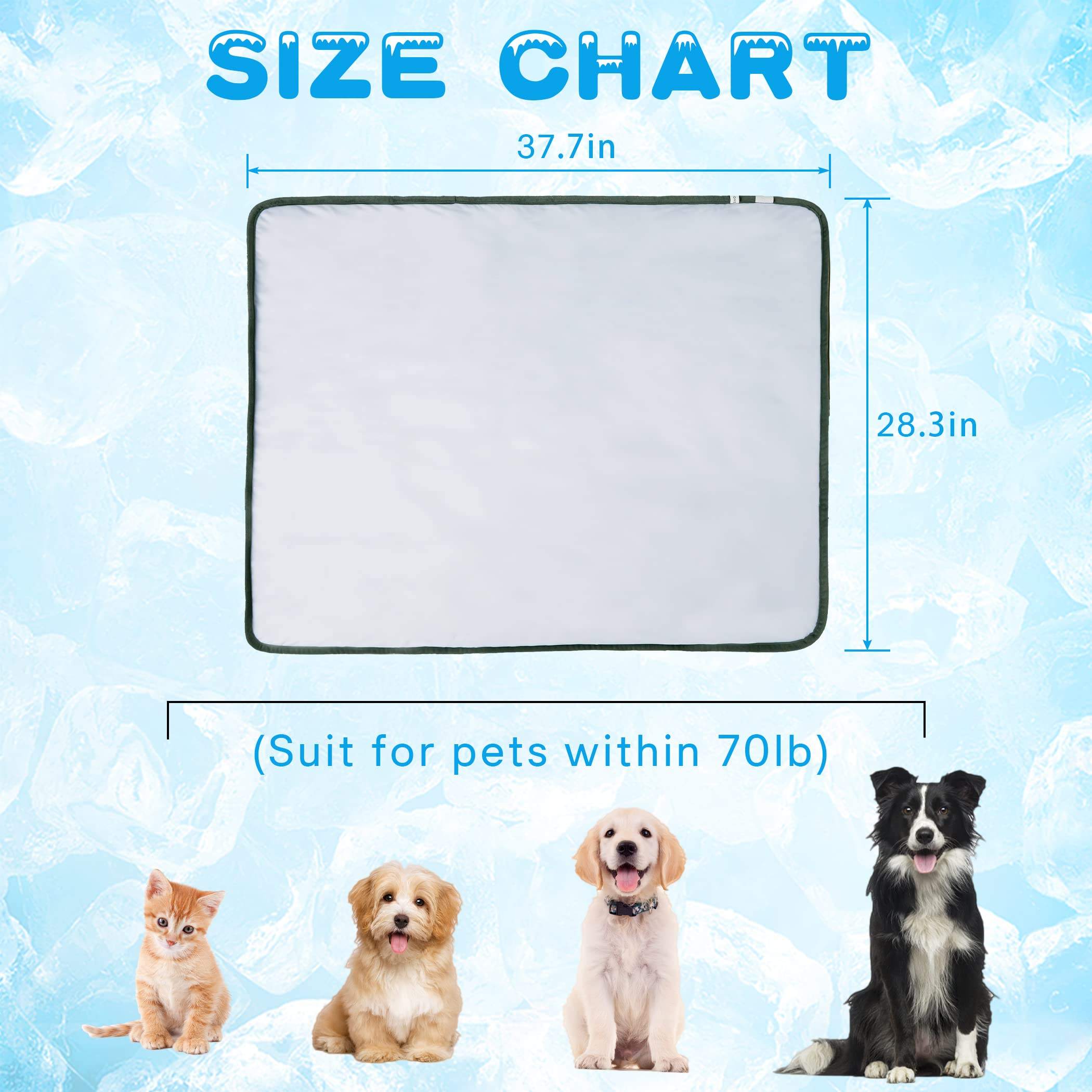 Convenient Pet Diaper Blanket XSTB-0001