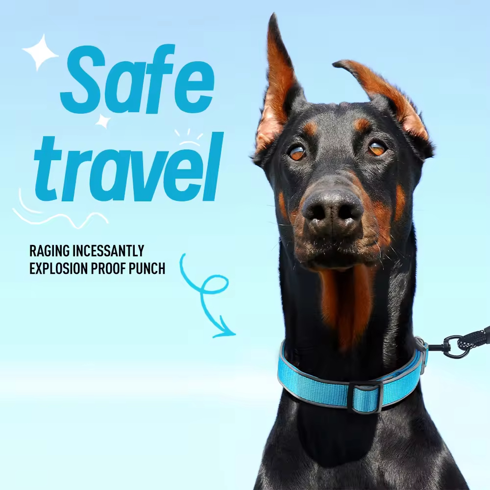 Adjustable Dog Collar XSCO-0010