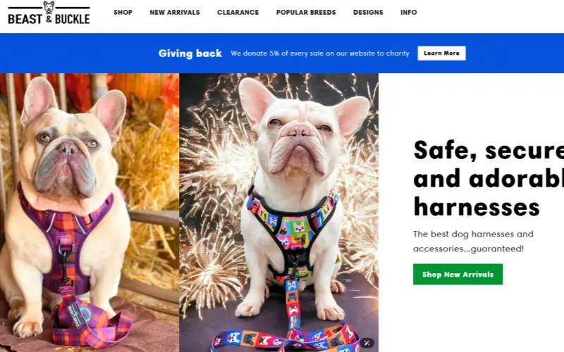 الوحش buckle-website