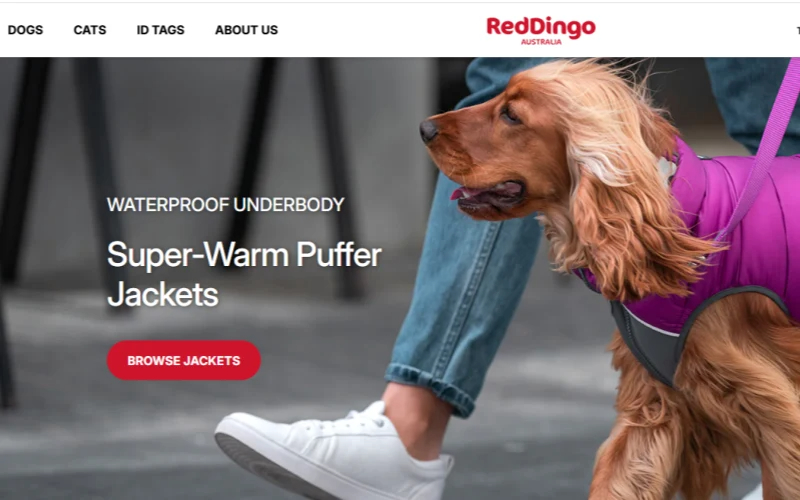 red-dingo-website