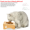 Eco-friendly Pet Bowl XSFB-0013