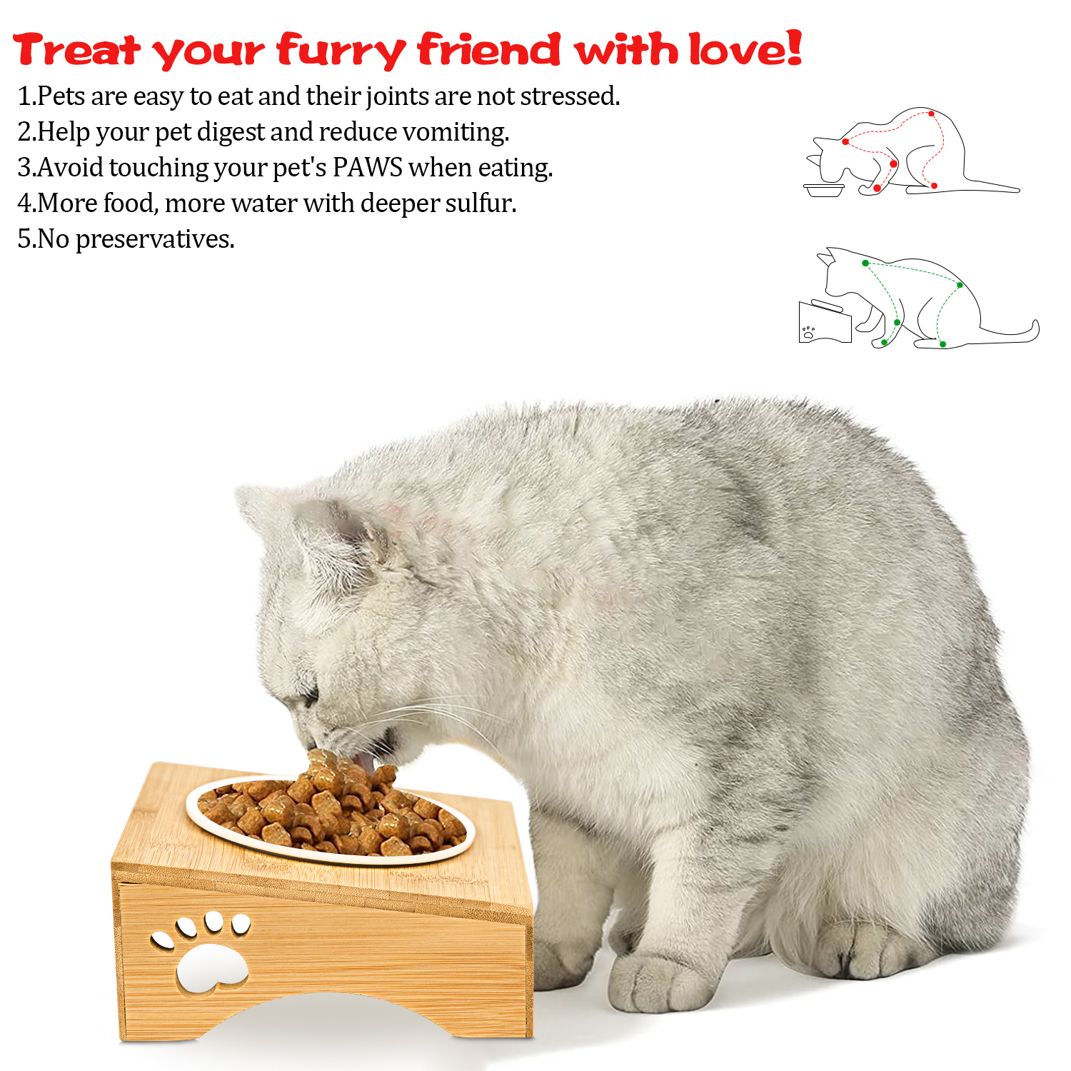 Eco-friendly Pet Bowl XSFB-0013