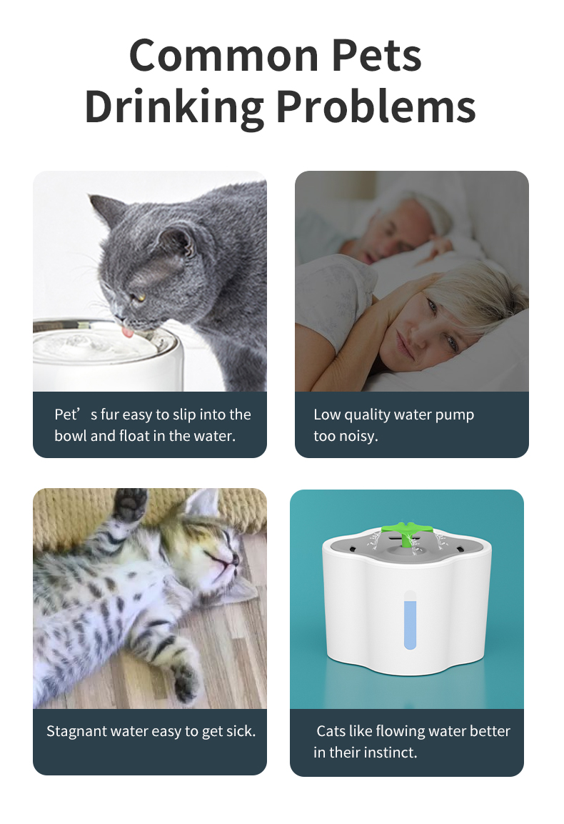 Large Capacity Pet Water Dispenser XSWD-0011