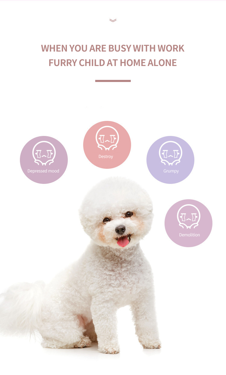 Intelligent Pet Toys XSSP-0001