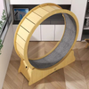 Sturdy Cat Treadmill XSEW-0001